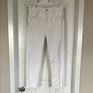 AGOLDE Riley High Rise Straight Crop Jean